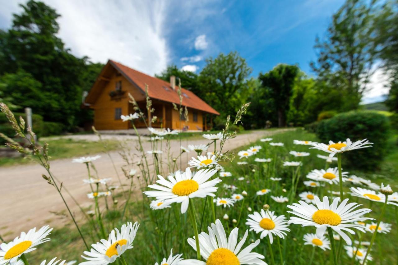 Ranch Jelov Klanac Apartment Rakovica Exterior photo